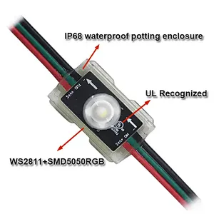 Smart Outdoor RGB Single-Point LED Module